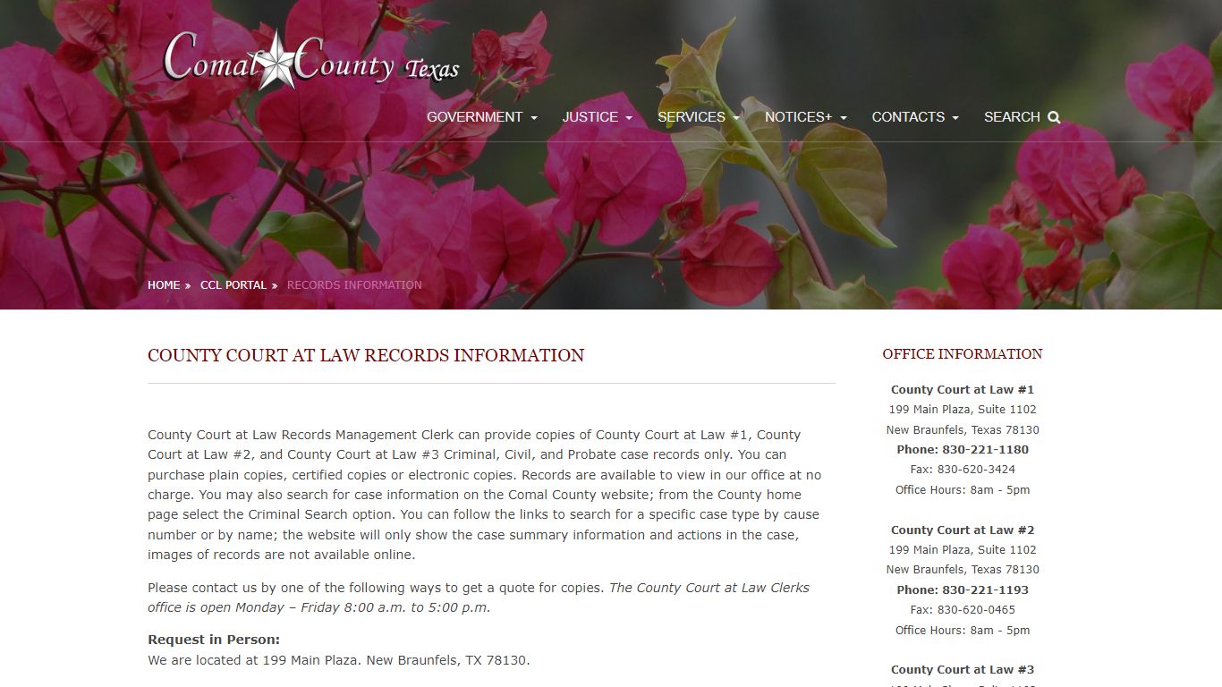 County Court at Law Records Information-Comal County, Texas